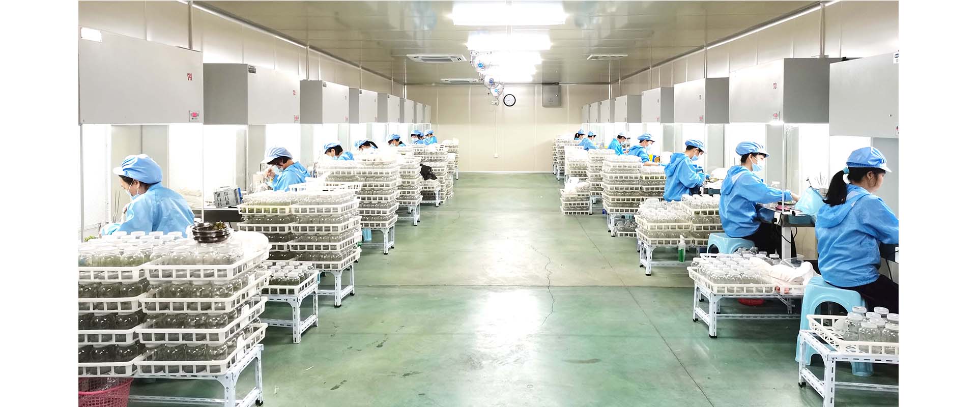 Zhangzhou Chanseed Biotechnology Co.,Ltd.